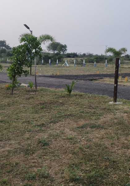  738 Sq.ft. Residential Plot for Sale in Kinathukadavu, Coimbatore
