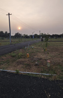  Residential Plot for Sale in Vadasithur, Coimbatore