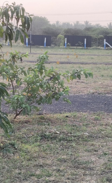  10300 Sq.ft. Residential Plot for Sale in Kinathukadavu, Coimbatore