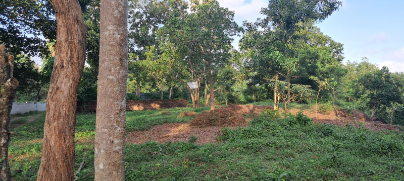  17 Cent Residential Plot for Sale in Varkala, Thiruvananthapuram