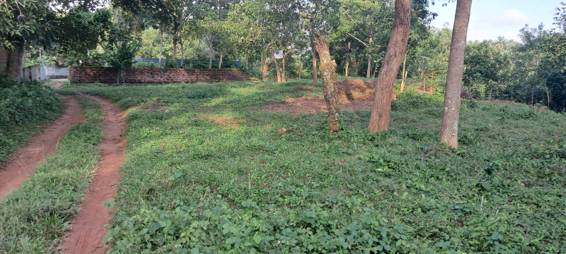  17 Cent Residential Plot for Sale in Varkala, Thiruvananthapuram