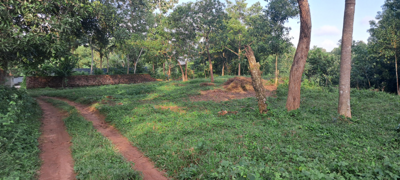  17 Cent Residential Plot for Sale in Varkala, Thiruvananthapuram