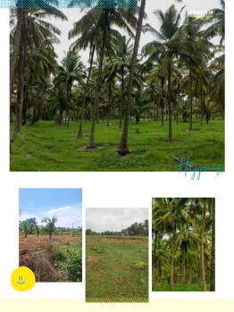  Agricultural Land for Sale in Channarayapatna, Hassan