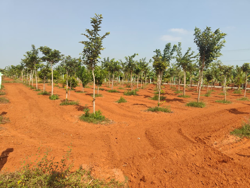  8140 Sq.ft. Agricultural/Farm Land for Sale in Madhurandagam, Chennai