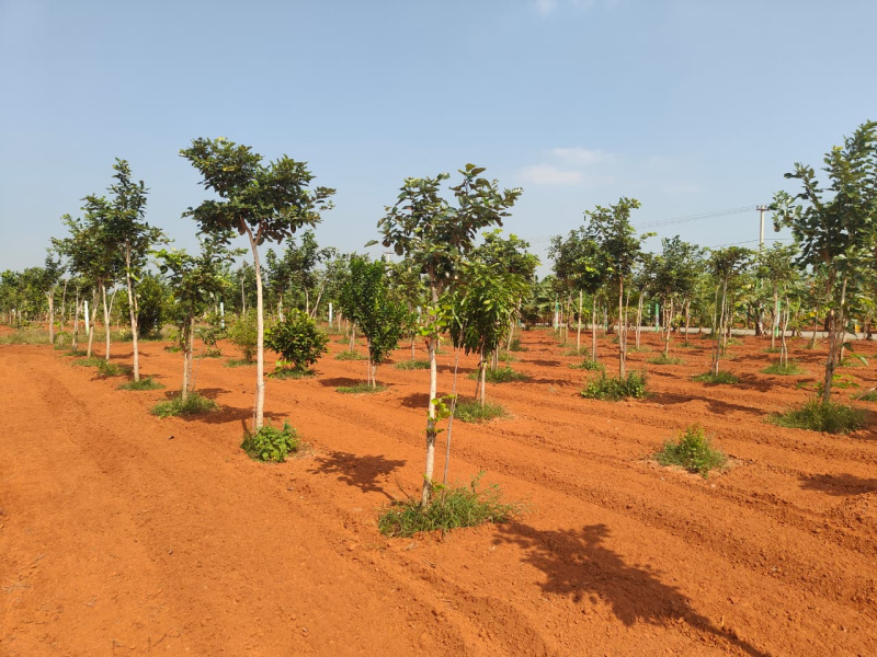  8140 Sq.ft. Agricultural/Farm Land for Sale in Madhurandagam, Chennai