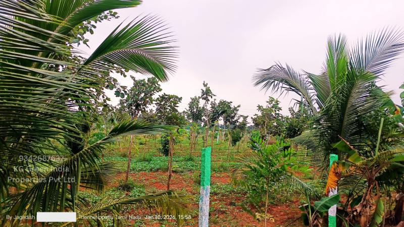  7227 Sq.ft. Agricultural/Farm Land for Sale in Madurantakam, Kanchipuram