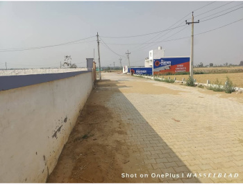  Residential Plot for Sale in Jhajjar Road, Rohtak