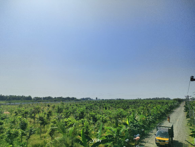 10000 Sq.ft. Agricultural/Farm Land for Sale in Maduranthakam, Chengalpattu