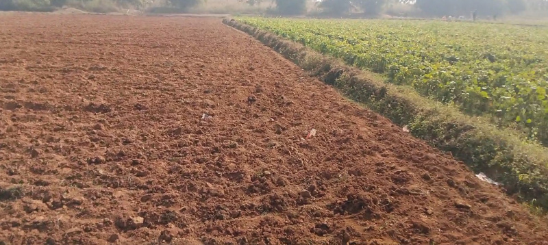  1 Acre Residential Plot for Sale in Bero, Ranchi