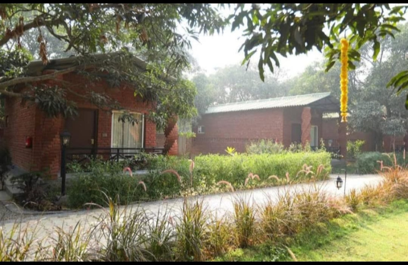 1 BHK 550 Sq.ft. Farm House for Sale in Babugarh, Hapur