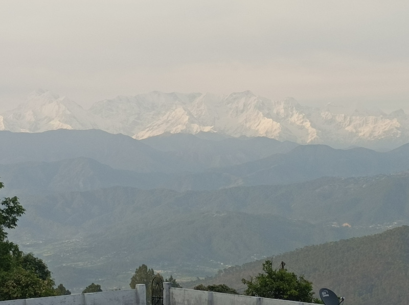  3200 Sq.ft. Residential Plot for Sale in Kausani, Bageshwar