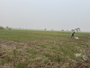 Agricultural Land for Sale in Vadoli, Surat