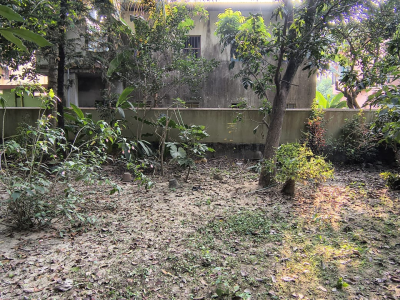  2000 Sq.ft. Residential Plot for Sale in Phulia, Nadia