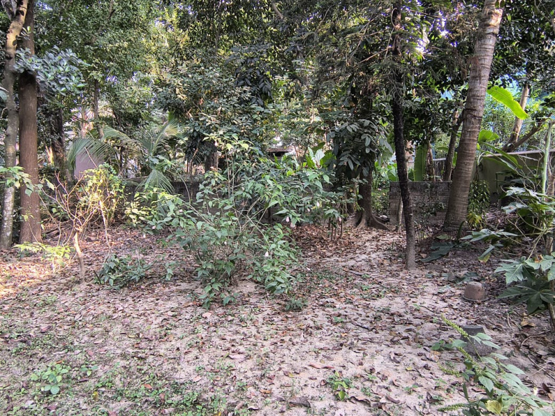  2000 Sq.ft. Residential Plot for Sale in Phulia, Nadia
