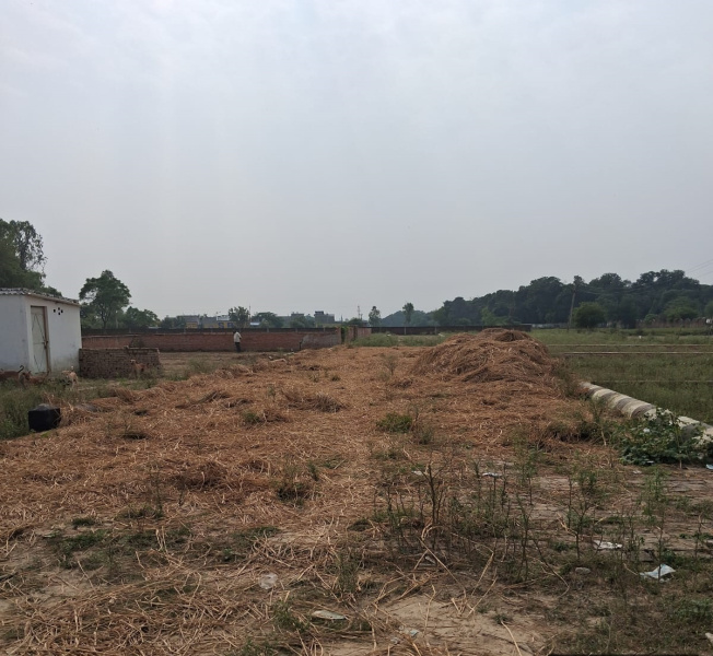  5000 Sq.ft. Residential Plot for Sale in Kursi Road, Lucknow