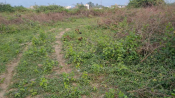  Residential Plot for Sale in Manali, Thiruvallur