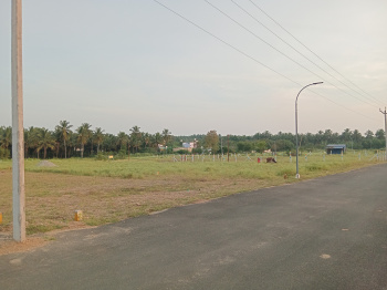  Residential Plot for Sale in Kinathukadavu, Coimbatore