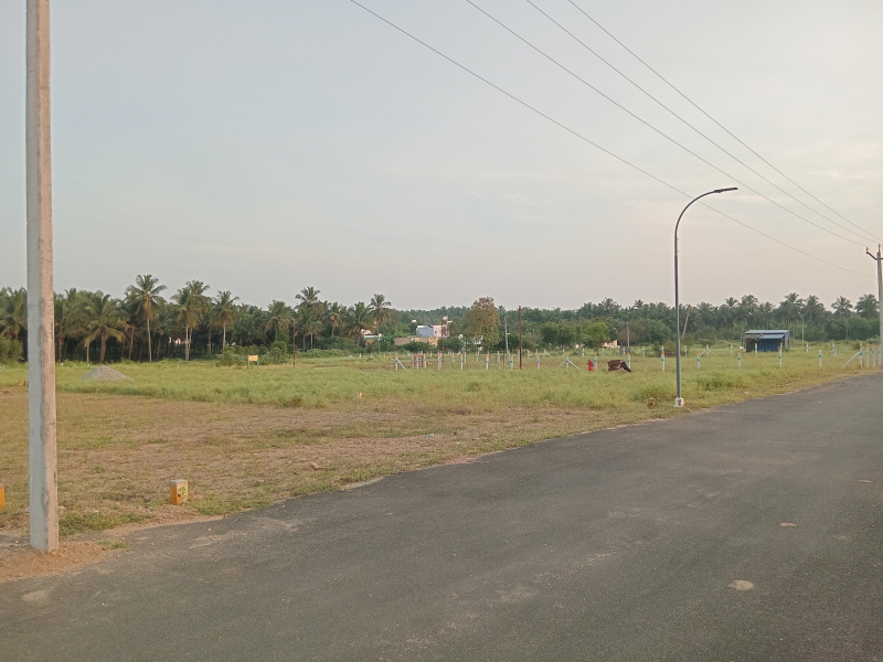  436 Sq.ft. Residential Plot for Sale in Kinathukadavu, Coimbatore