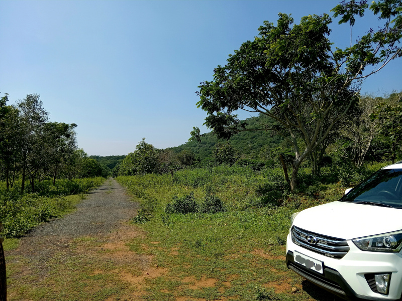  21 Cent Agricultural/Farm Land for Sale in Anaikatti, Coimbatore