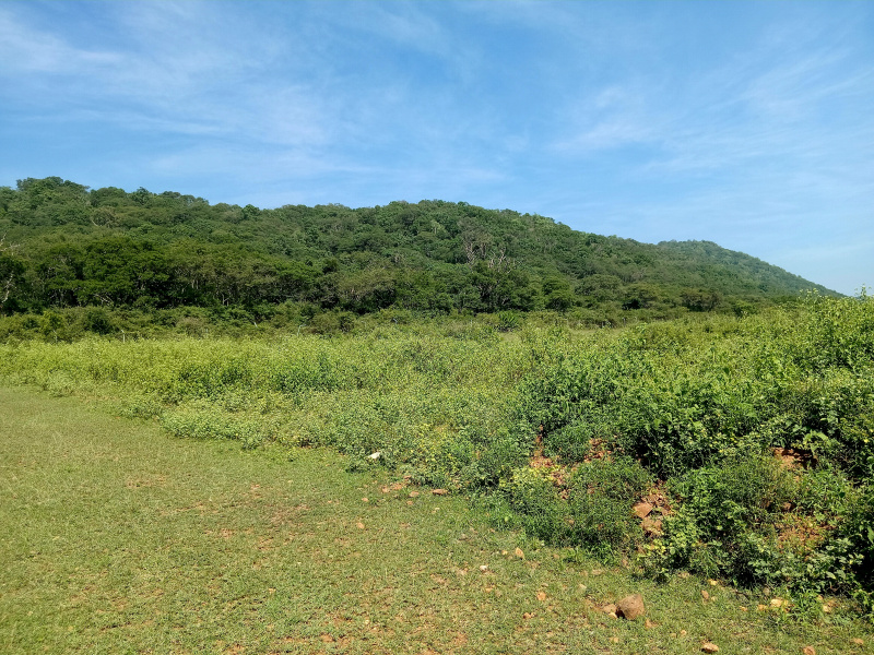  21 Cent Agricultural/Farm Land for Sale in Anaikatti, Coimbatore