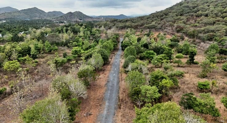  21 Cent Agricultural/Farm Land for Sale in Anaikatti, Coimbatore