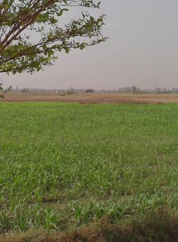 Agricultural Land for Sale in Kharkhoda, Sonipat