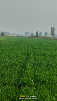  Agricultural Land for Sale in Horsohiya, Basti