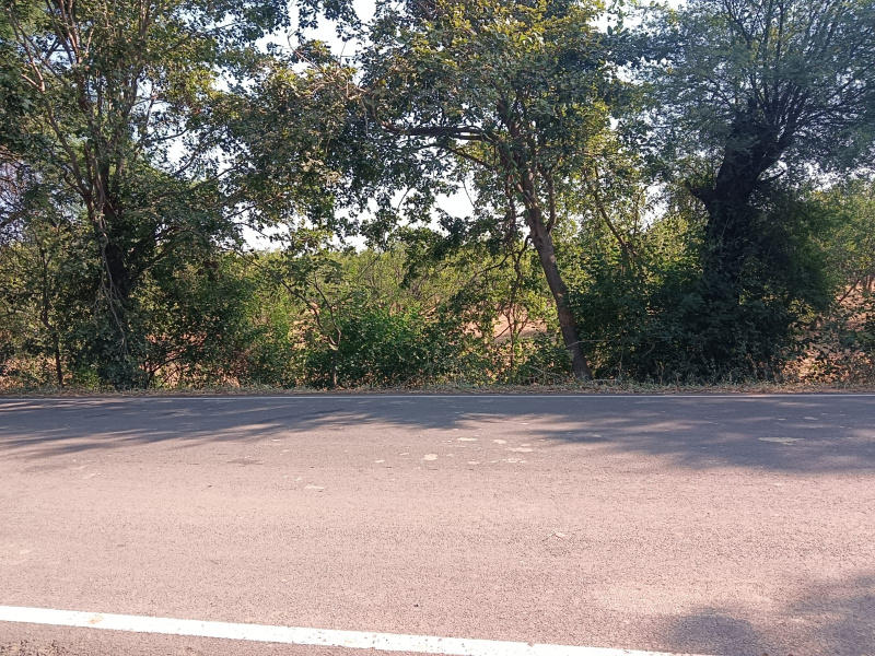  2 Acre Agricultural/Farm Land for Rent in Chandur Bazar, Amravati