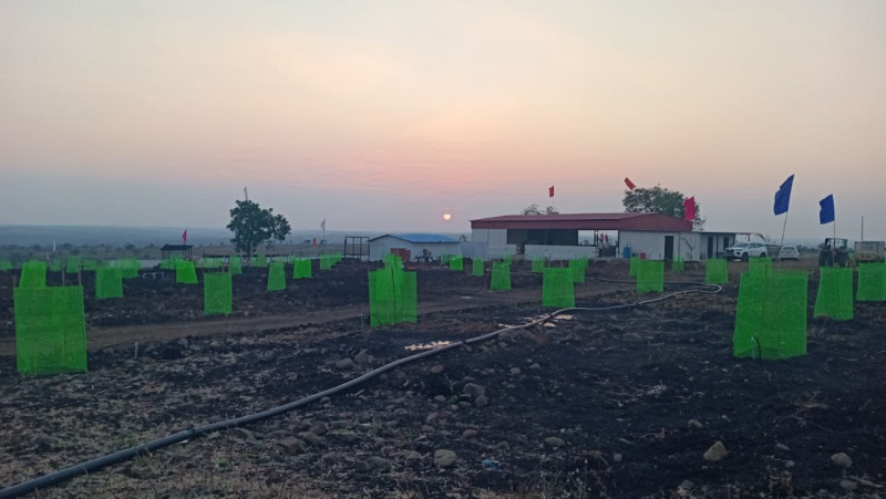  605 Sq. Yards Residential Plot for Sale in Narayankhed, Sangareddy