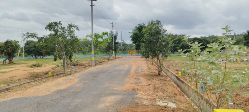  1200 Sq.ft. Residential Plot for Sale in Hejjala, Bangalore