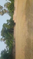 Industrial Land for Rent in Motihari, Champaran