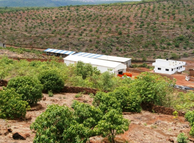  350 Sq.ft. Agricultural/Farm Land for Sale in Devgad, Sindhudurg