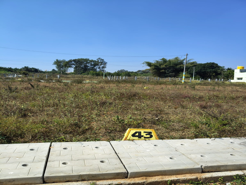  1200 Sq.ft. Residential Plot for Sale in Nelamangala, Bangalore
