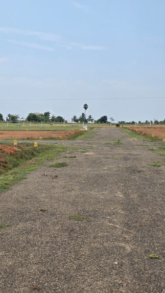  1500 Sq.ft. Residential Plot for Sale in Kinathukadavu, Coimbatore