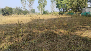  Residential Plot for Sale in Jagdalpur, Bastar