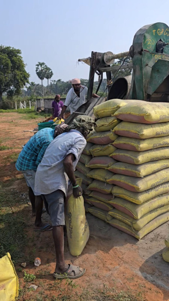  500 Sq. Yards Residential Plot for Sale in Dakamarri, Visakhapatnam