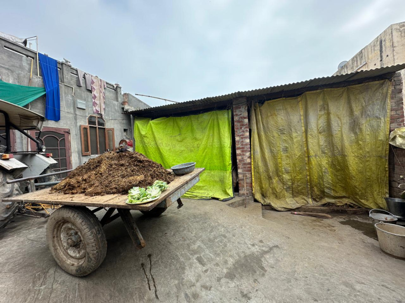  4 Biswa Residential Plot for Sale in Bhawanigarh, Sangrur