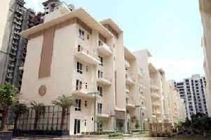 3 BHK Builder Floor for Sale in Sector 70 Gurgaon