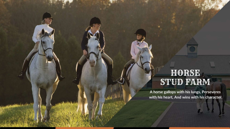  250 Sq. Yards Residential Plot for Sale in Yamuna Expressway, Aligarh