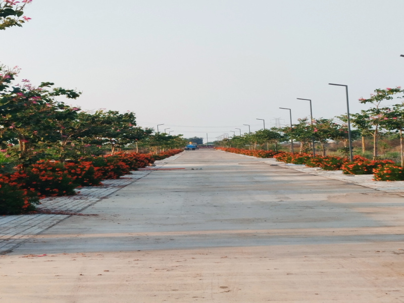  1000 Sq.ft. Residential Plot for Sale in By Pass Road, Indore