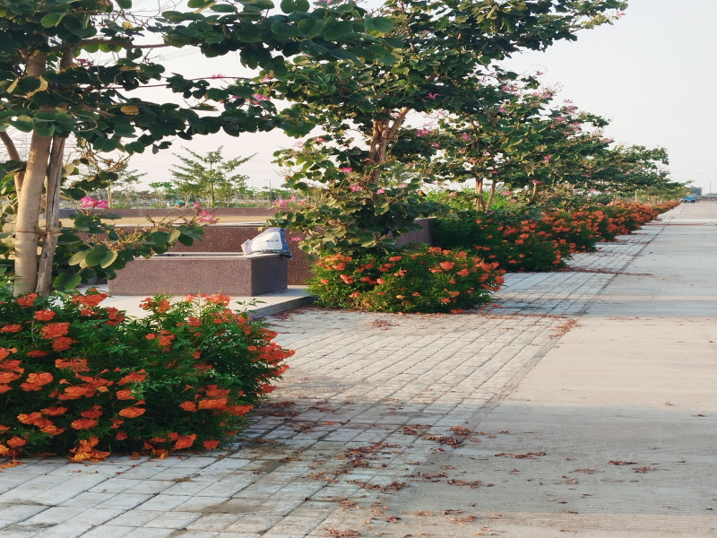  1000 Sq.ft. Residential Plot for Sale in By Pass Road, Indore