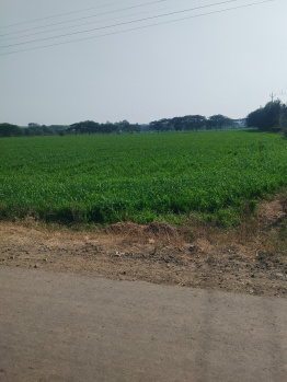  Residential Plot for Sale in Ujjain Road, Indore