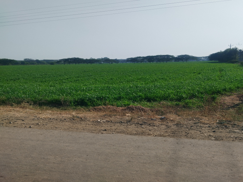  15 Bigha Residential Plot for Sale in Ujjain Road, Indore