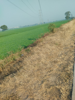  Agricultural Land for Sale in Kanadia Road, Indore