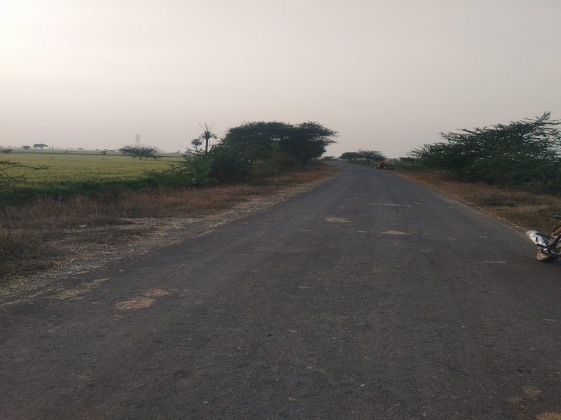  120 Bigha Agricultural/Farm Land for Sale in Badnawar, Dhar