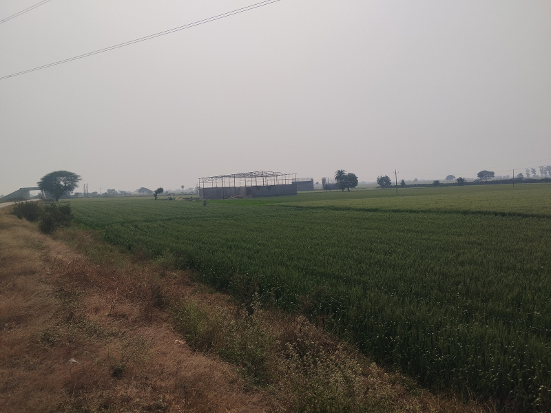  120 Bigha Agricultural/Farm Land for Sale in Badnawar, Dhar