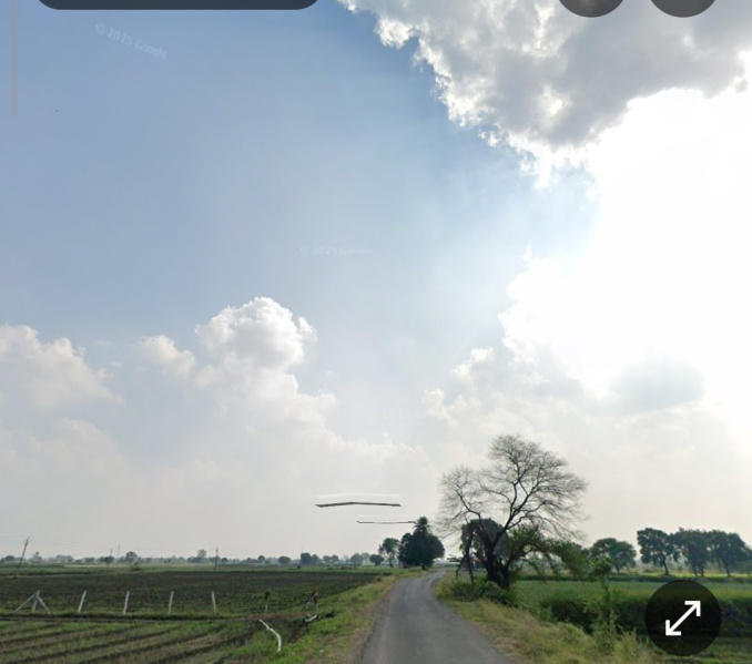  1 Bigha Agricultural/Farm Land for Sale in Kanadia Road, Indore