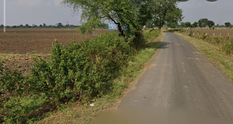  1 Bigha Agricultural/Farm Land for Sale in Kanadia Road, Indore