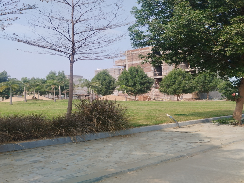  1000 Sq.ft. Residential Plot for Sale in Kanadiya, Indore