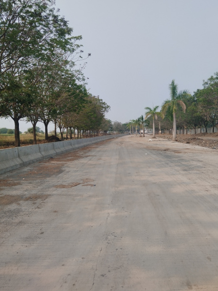  6650 Sq.ft. Commercial Land for Sale in Nipania, Indore